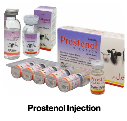 بروستينول حقن10مل